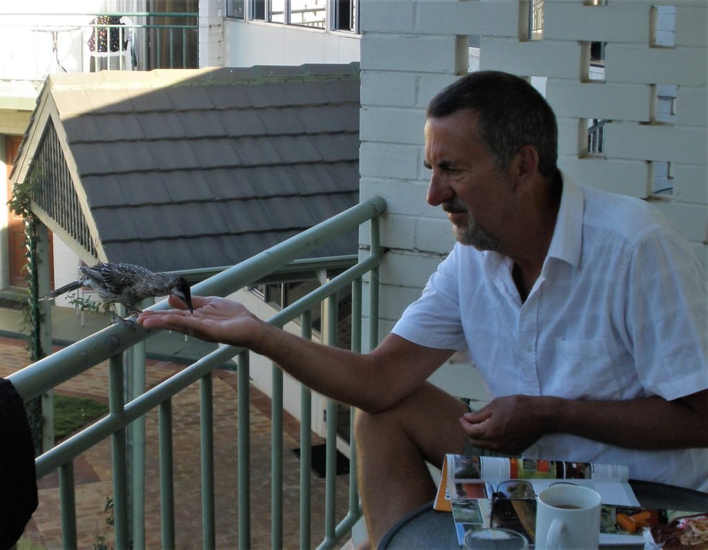 Bird being hand fed