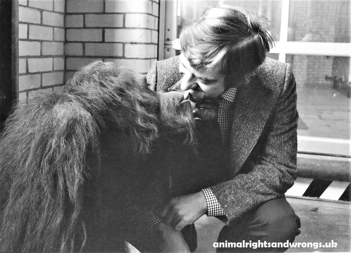 My memorable meeting with C.J. the Orangutan.