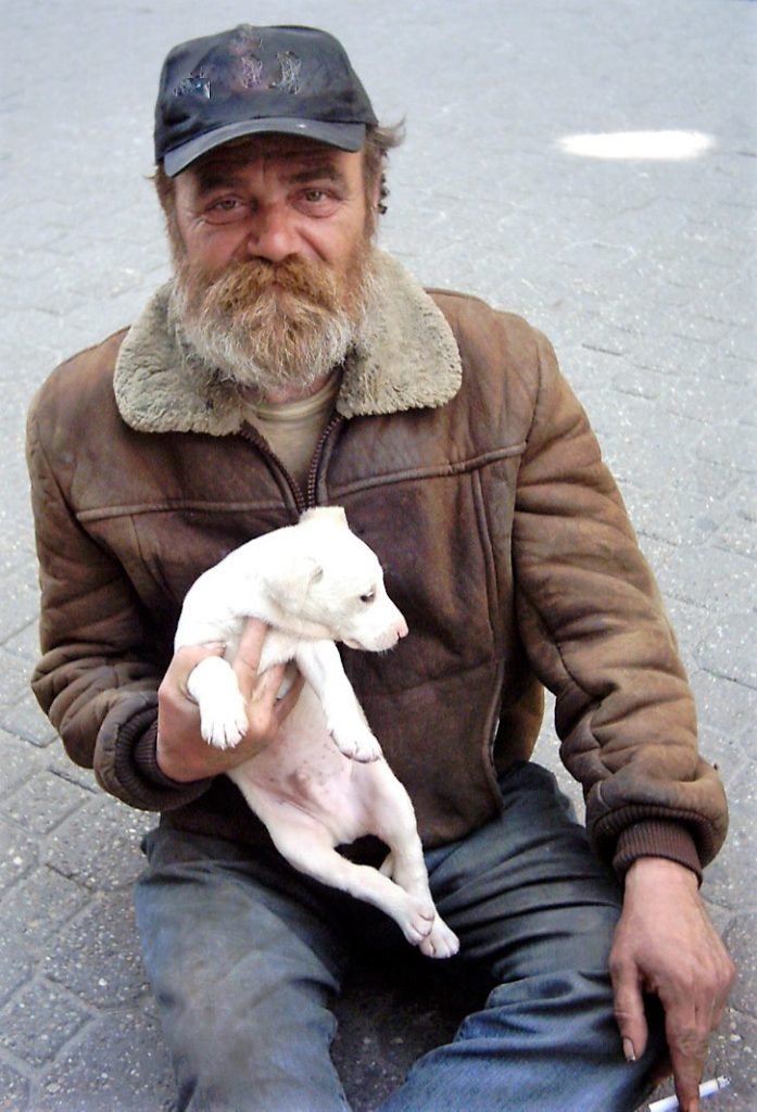 Beggar, homeless person, puppy