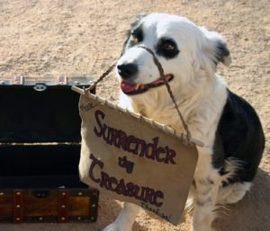 Beggars dog, street persons dog,