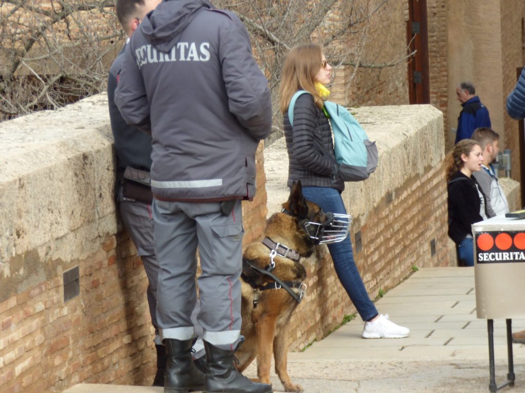 Security dog, muzzled, animal ethics