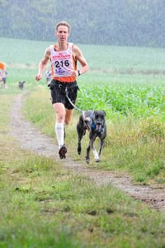 canicross marathon dog running