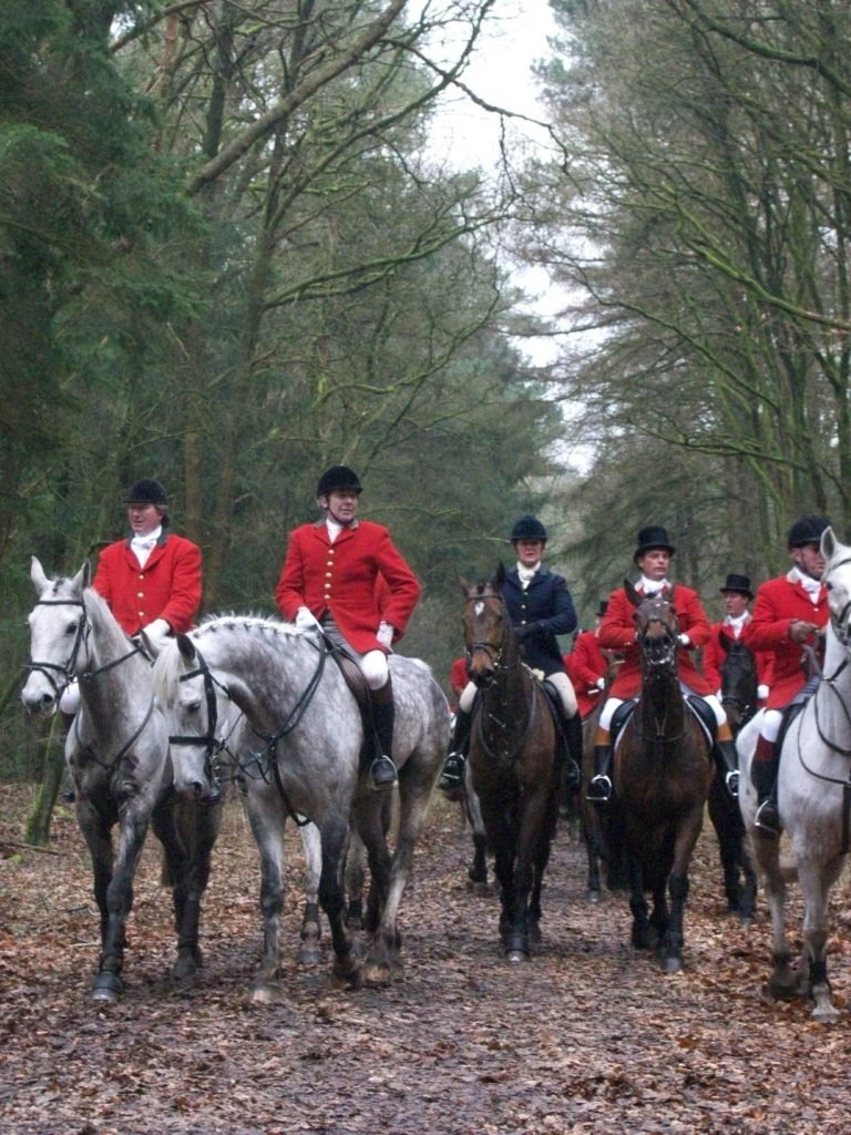 Fox hunt, Hunting Act 2004, cruelty to foxes, hunting