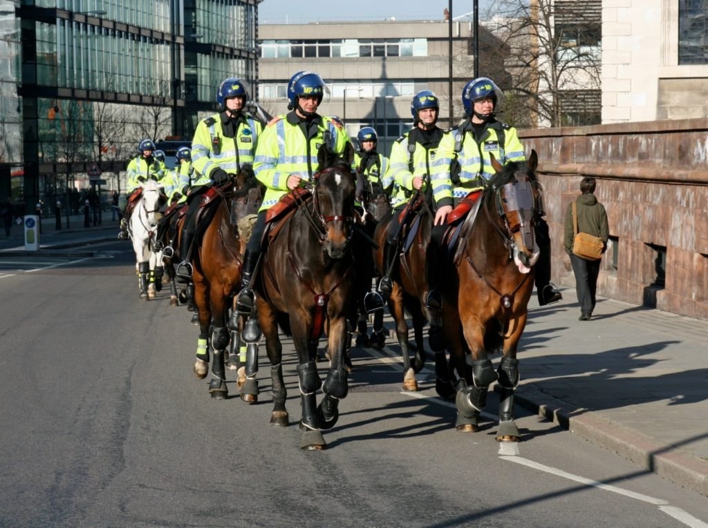 Finn's Law. Police horses wearing eye and face shields and leg protection.