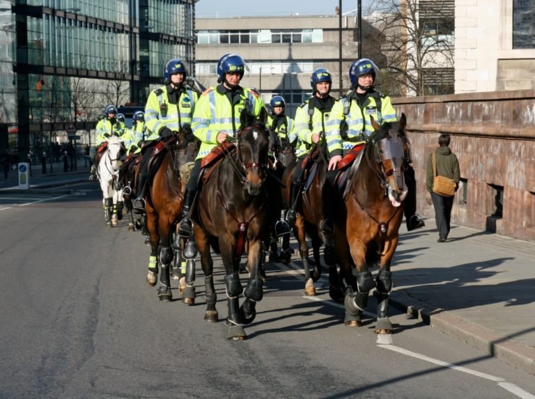 Police horses wearing eye and face shields and leg protection.