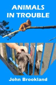 Animals in Trouble book