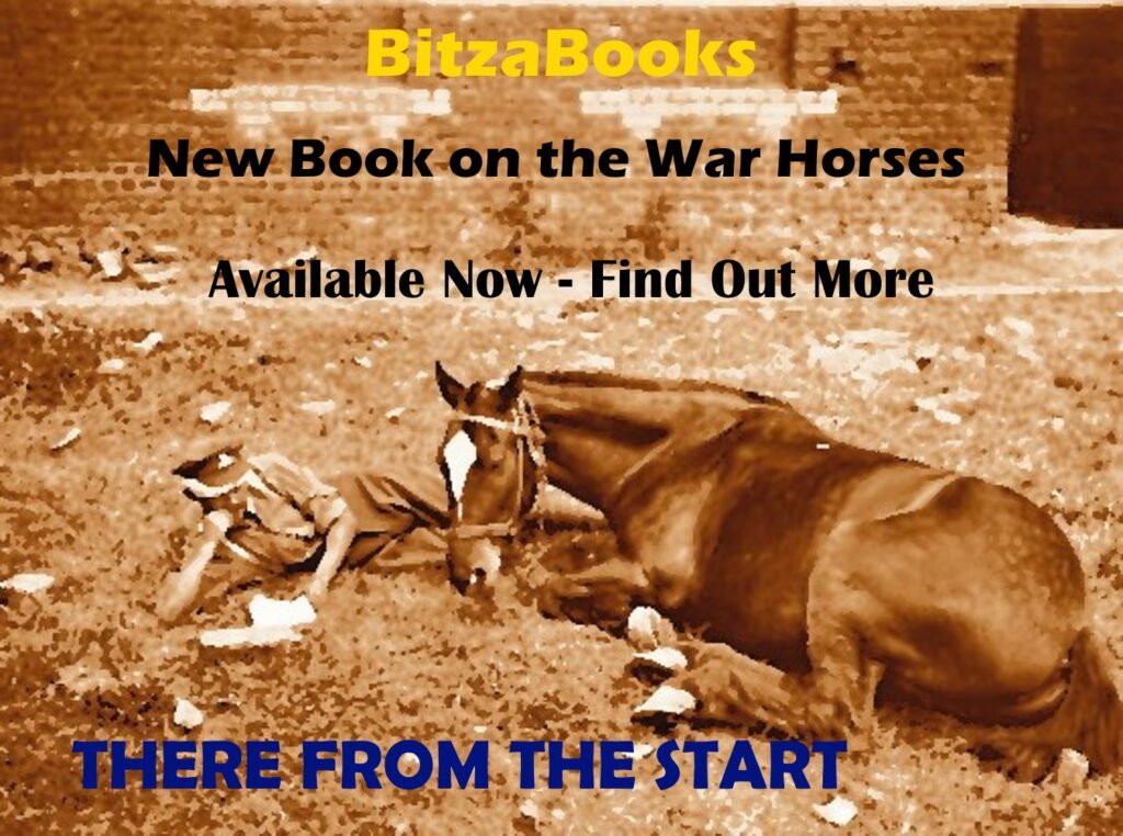 Advert for the book There From The Start by John Brookland about the war horses.