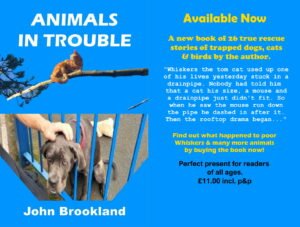Advert for Animal in Trouble