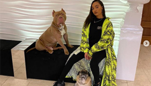 Cropped bull terrier with singer Little Mix