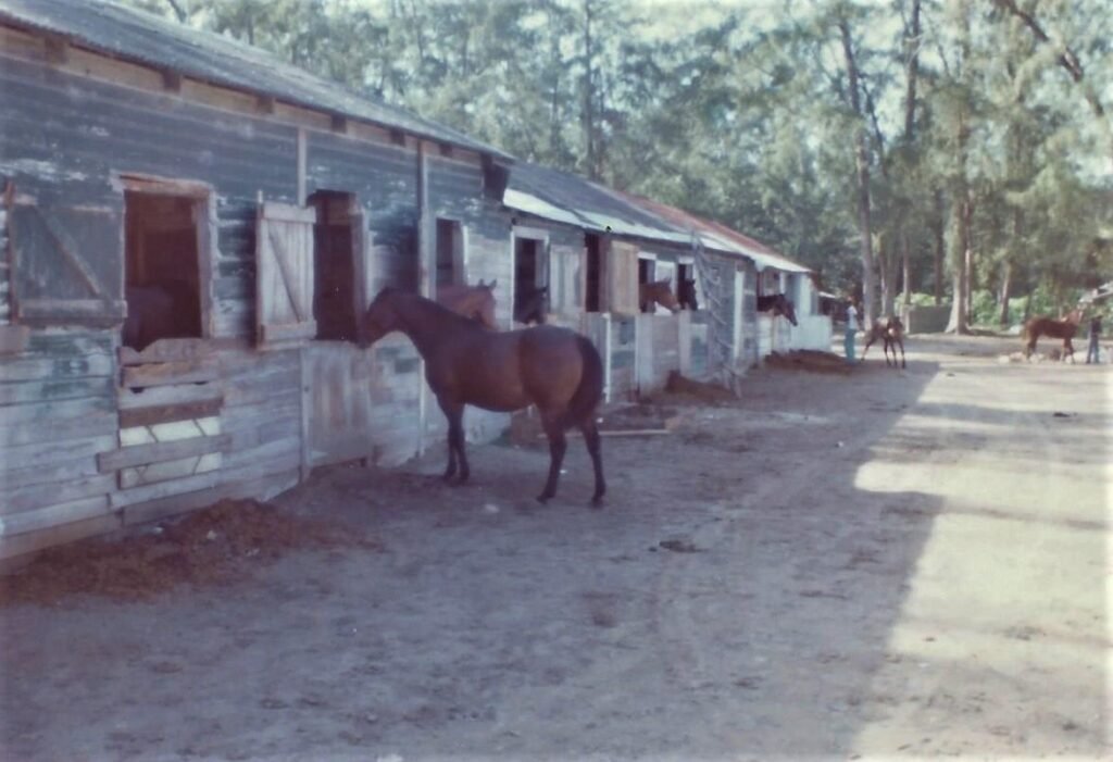 Hobby Horse hall racetrack stables, Nassau 1975