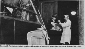 1950's photo of front door to RSPCA headquarters.