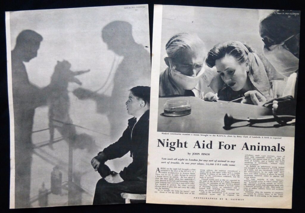 RSPCA Night Clinic 1952 article in Illustrated magazine.