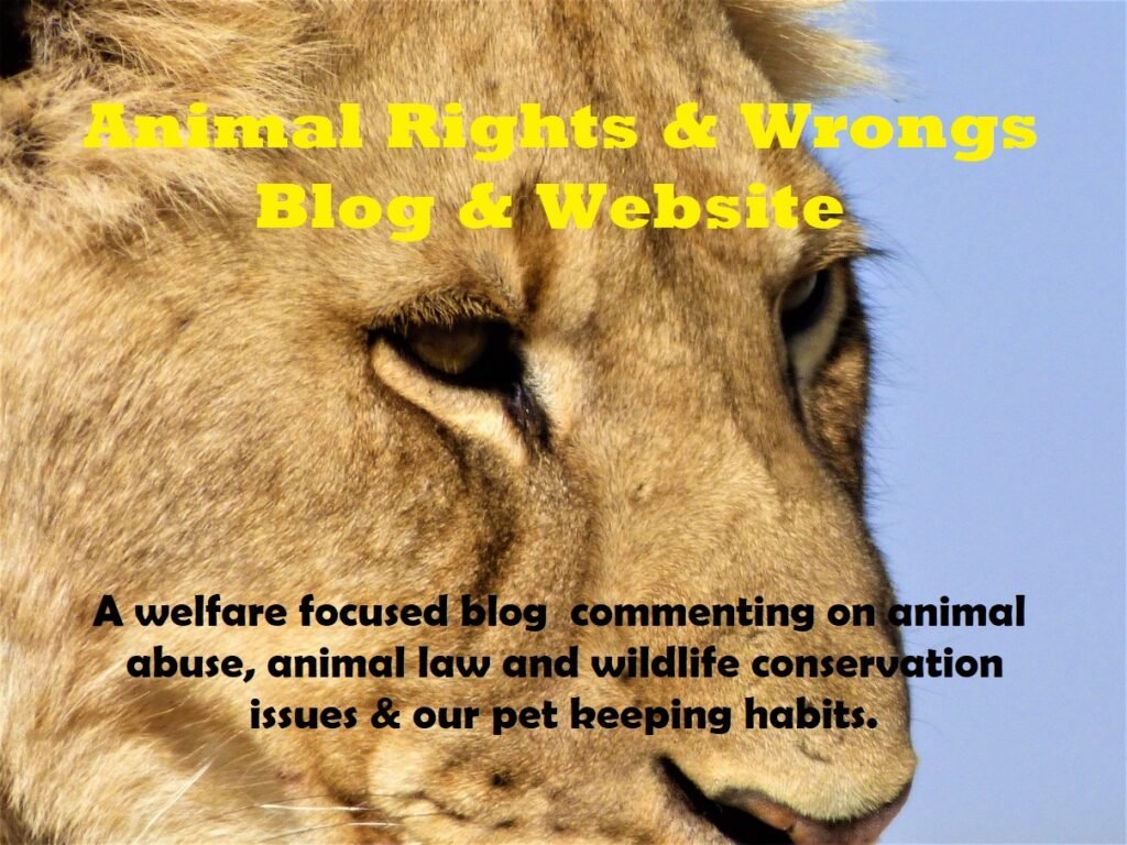 Animal Rights and Wrongs UK