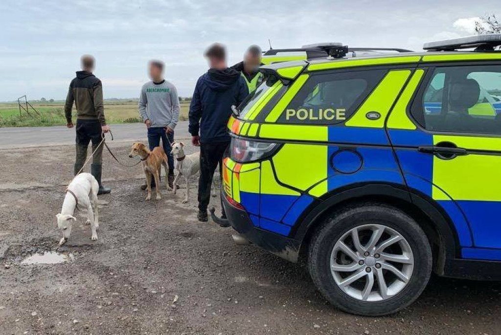 Policing illegal hare coursing