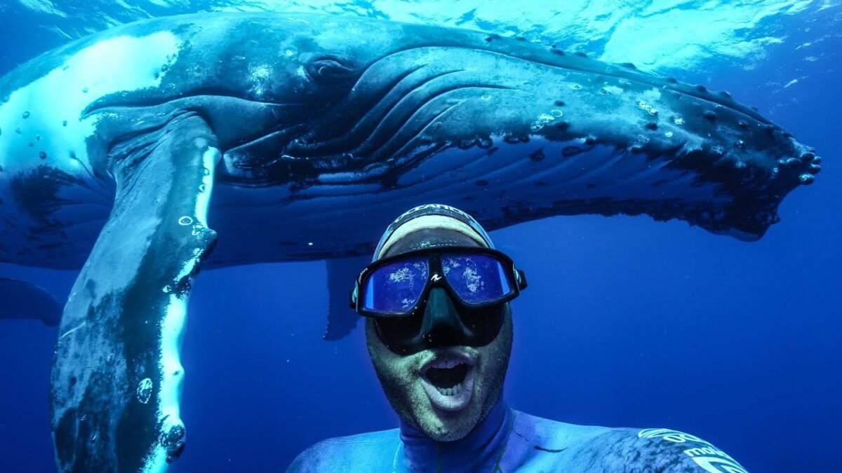 Selfie with a humpback whale