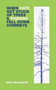 Book When cats Got Stuck Up Trees