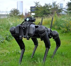 Robot dog.