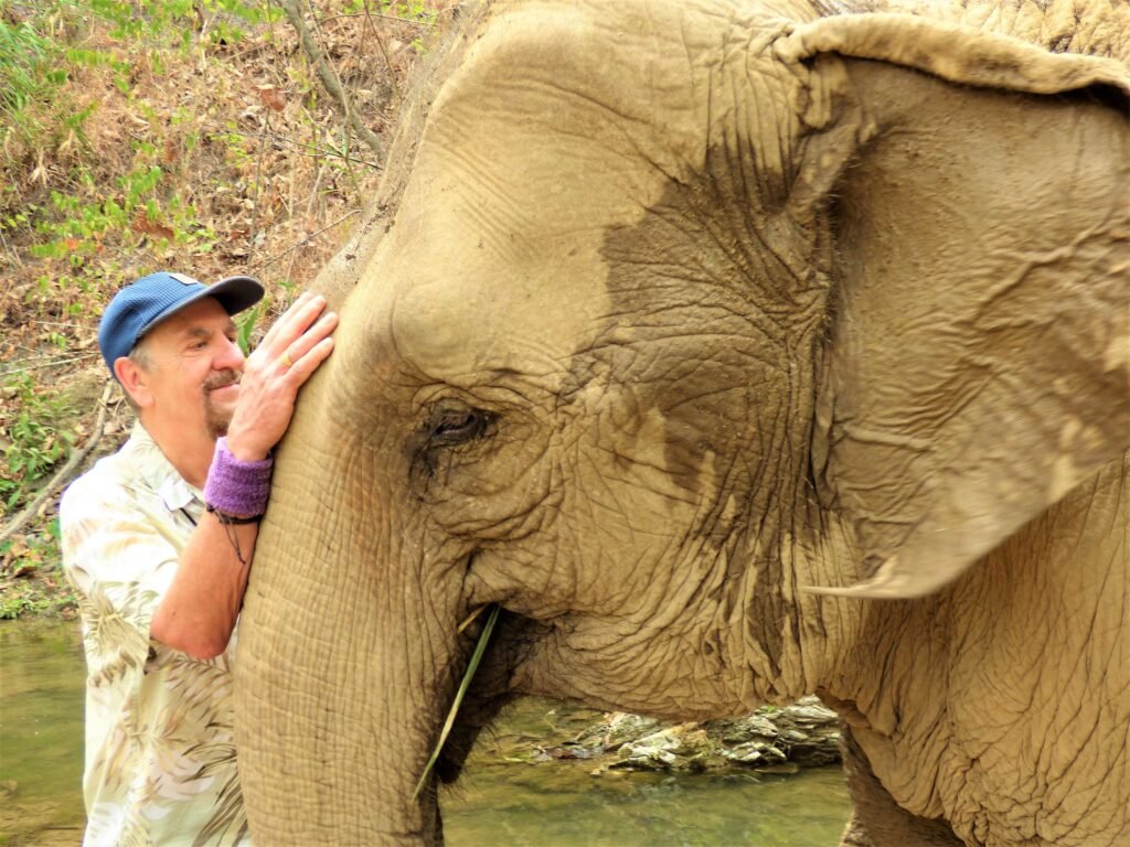 Author with Mandalao elephant