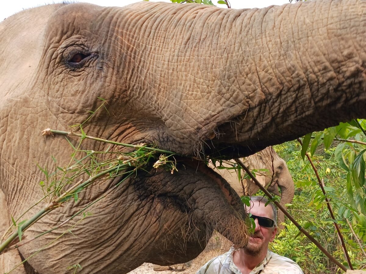 A visit to MandaLao Elephant Conservation in Laos.